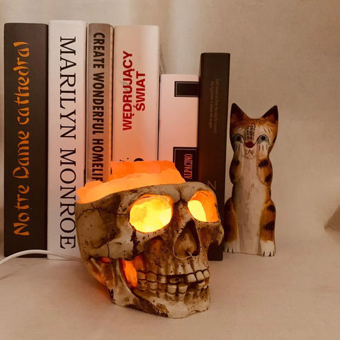 Whimsical Skull LED Lamp